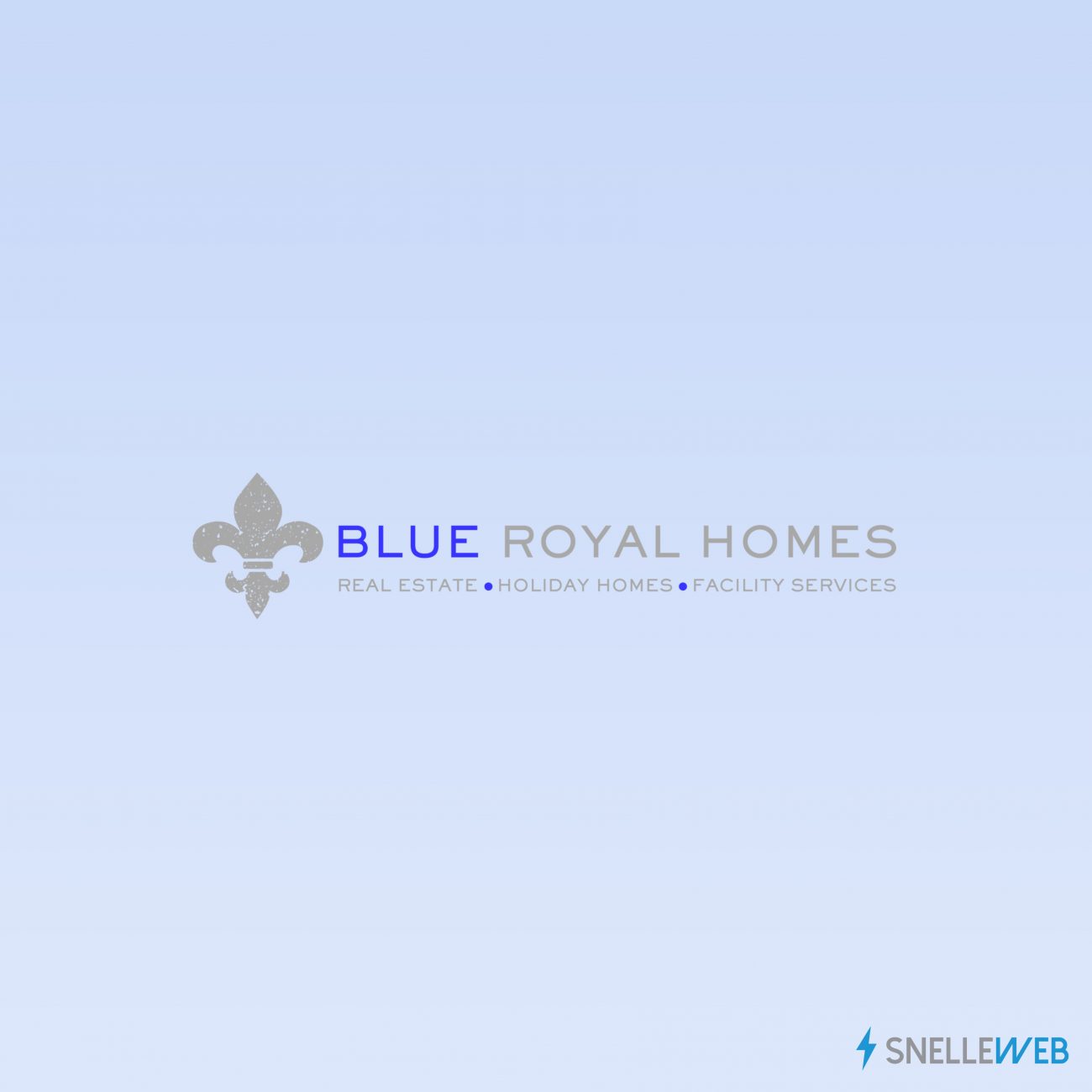 Lees meer over het artikel Blue Royal Homes