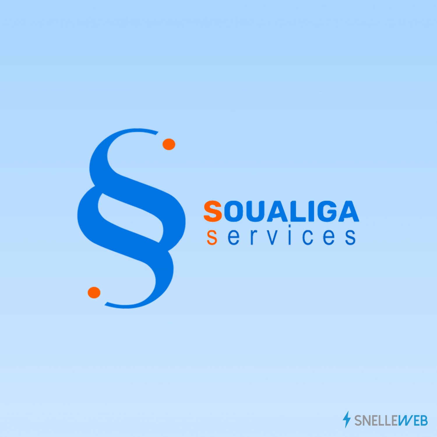Lees meer over het artikel Souliga Services