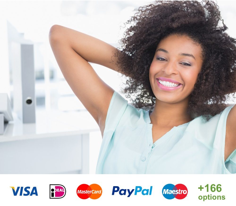 snelleweb-ecommerce-webshop-online-payments